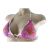 Victoria's Secret plavky Push Up Paisley White